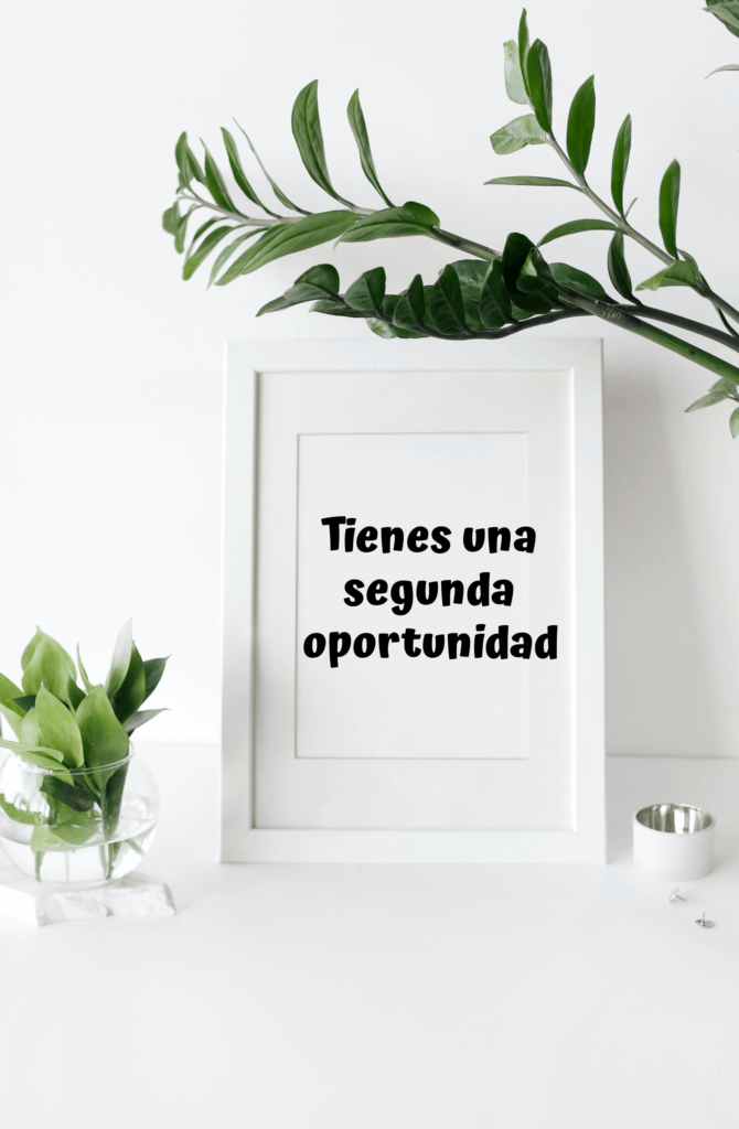 ley de la segunda oportunidad. Cancela tus deudas.